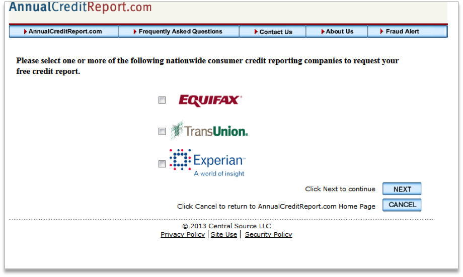 annual credit report example